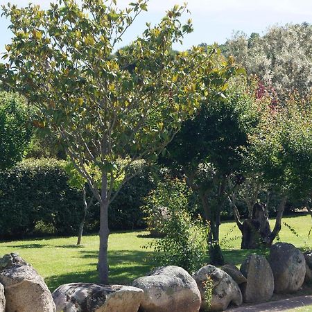 Les Jardins De Santa Giulia - Charmante Chambre D'Hote Porto-Vecchio  Exteriér fotografie