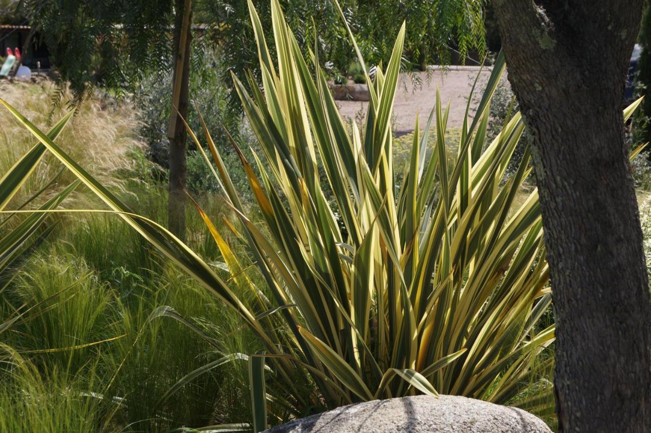 Les Jardins De Santa Giulia - Charmante Chambre D'Hote Porto-Vecchio  Exteriér fotografie